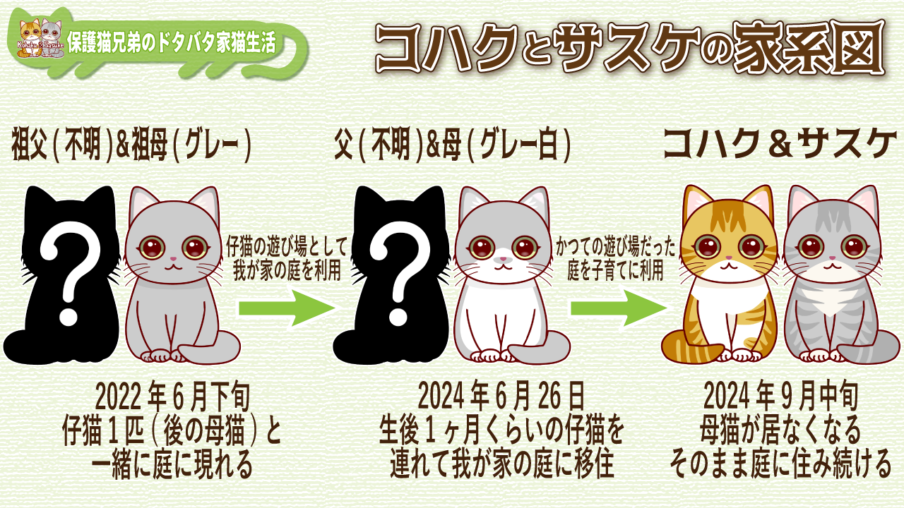 コハクとサスケの家系図画像