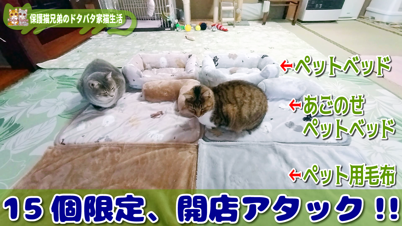 はまむらハッピーバッグ、ペットベッド3点セット